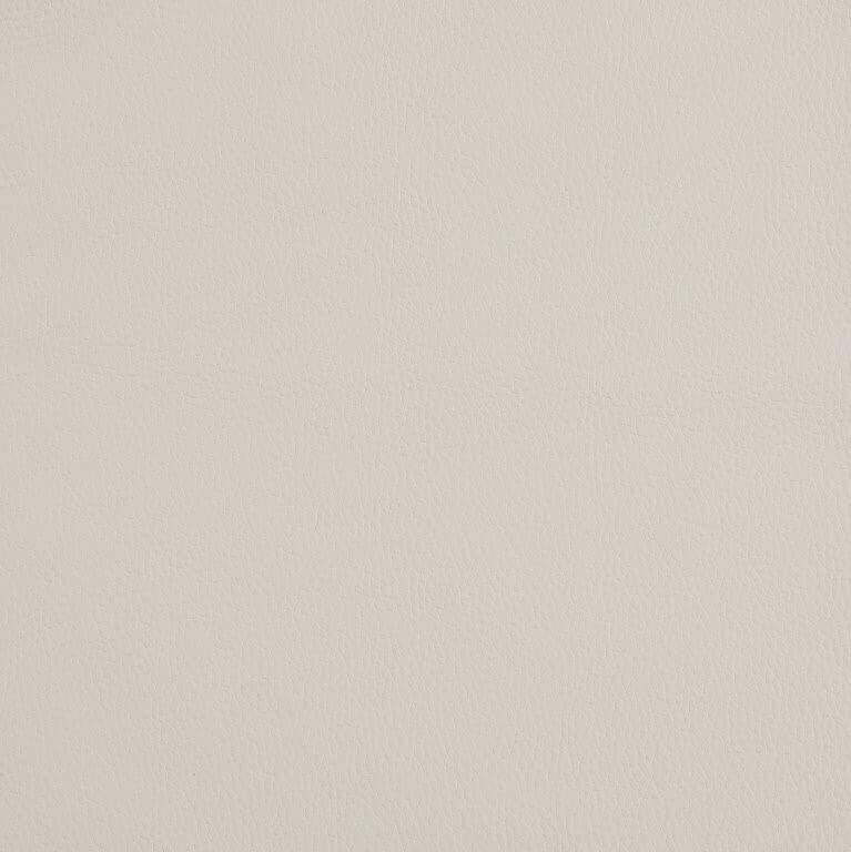 Close-Up View of Divanitalia Beige Italian Leather Swatch
