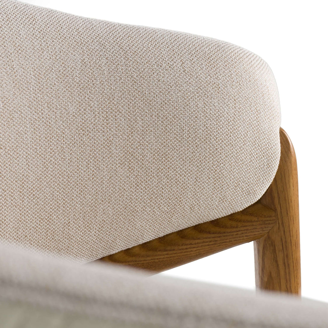 Modrest Cleveland Dining Chair - Close-up view of the dining room chair materials and finishes on a white transparent background